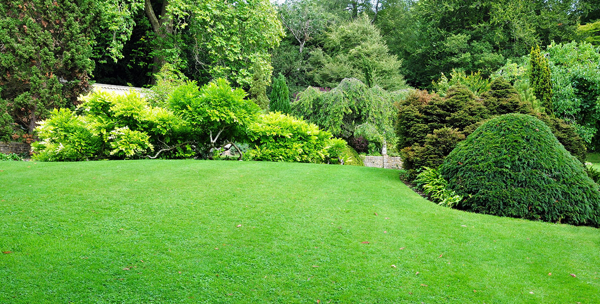 Attractive Hedges for Wildlife