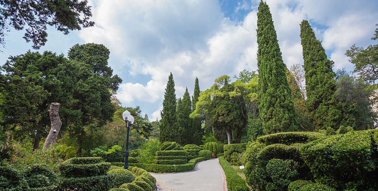 Hedge and Garden